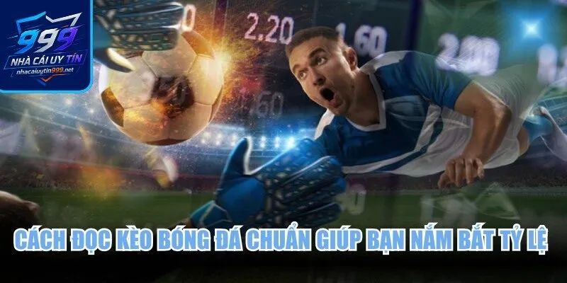 Cách đọc kèo bóng đá chuẩn giúp bạn nắm bắt tỷ lệ cược chính xác
