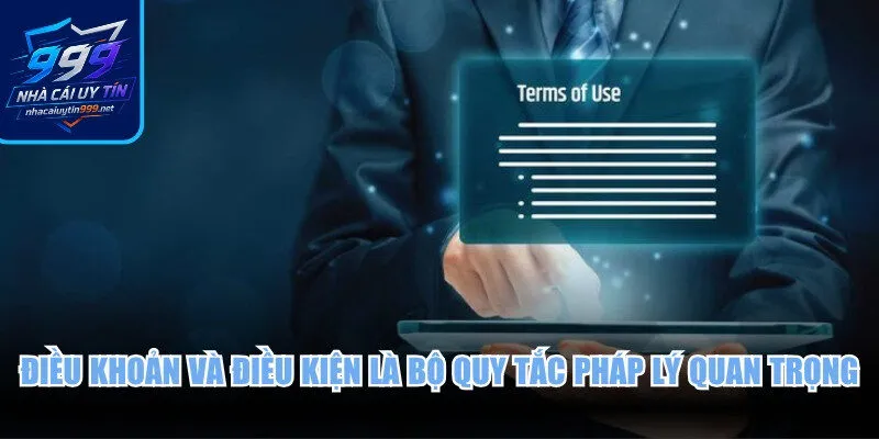 Điều khoản và điều kiện là bộ quy tắc pháp lý quan trọng hiện nay