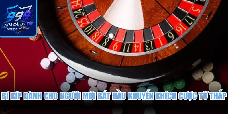 Bí kíp dành cho người mới bắt đầu khuyến khích cược từ thấp