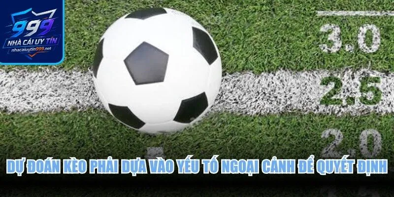 Dự đoán kèo phải dựa vào yếu tố ngoại cảnh để quyết định