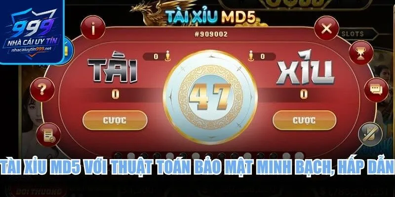 Tài xỉu MD5 với thuật toán bảo mật minh bạch, hấp dẫn nhất